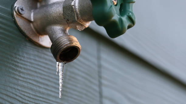Best Same-Day Plumbing Service  in Puyallup, WA