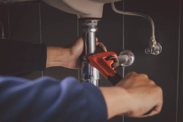 Best Plumbing Inspection Services  in Puyallup, WA